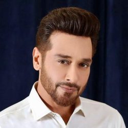 Faysal Quraishi
